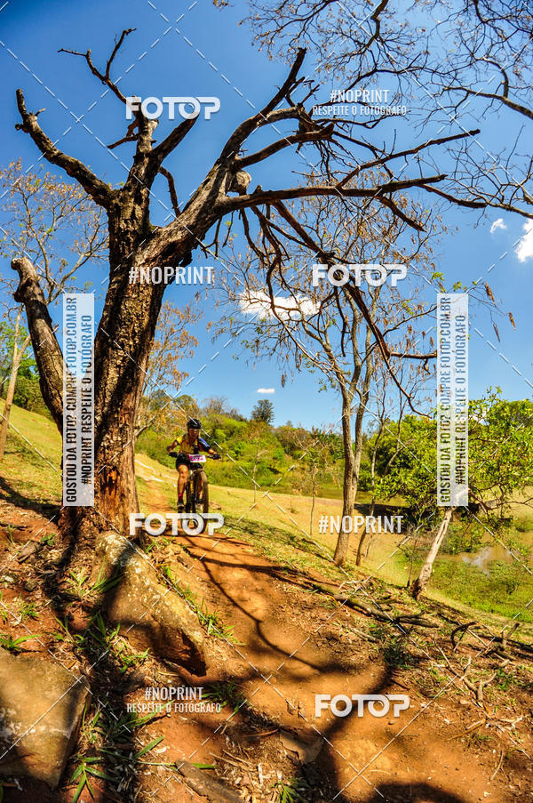 Buy your photos of the eventCampeonato Paulista de MTB XCO 2019 on Fotop