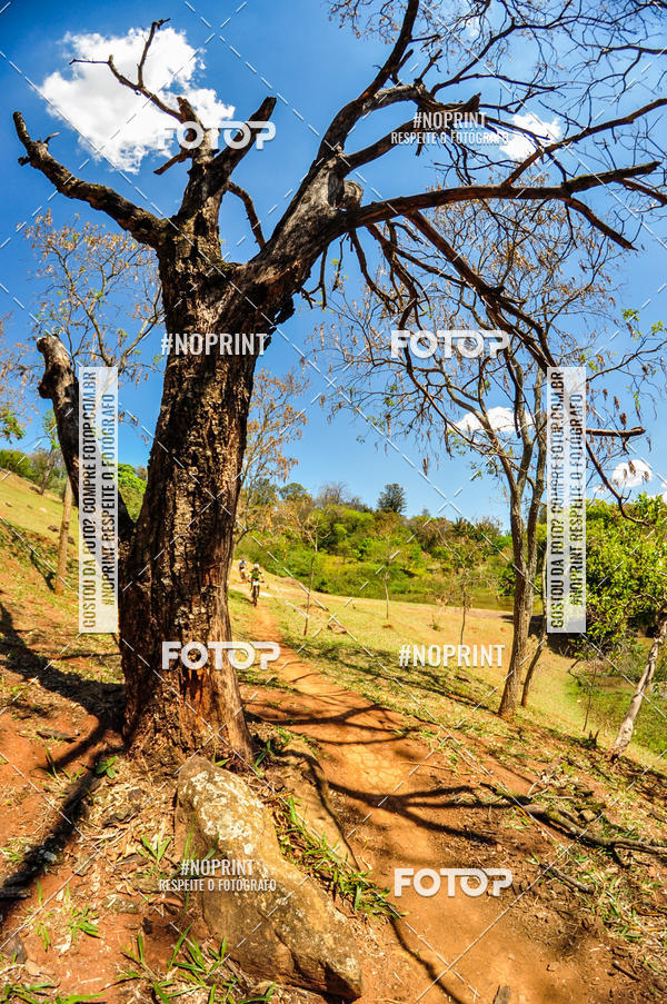 Buy your photos of the eventCampeonato Paulista de MTB XCO 2019 on Fotop