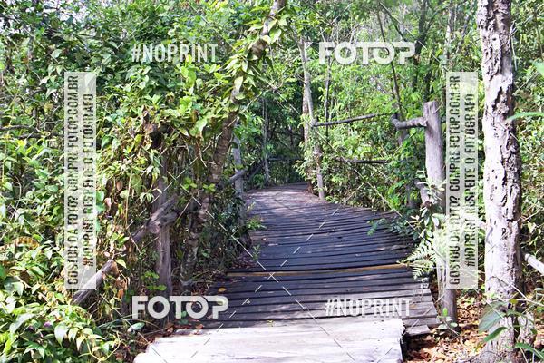 Achetez vos photos de l'vnementIV Desafio Flona  sur Fotop