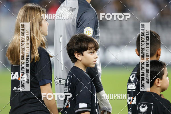 Buy your photos of the eventBotafogo x Grmio - Nilton Santos- 12/06/2019 on Fotop