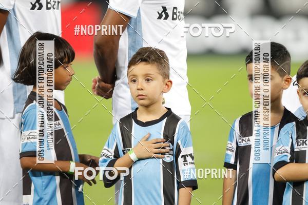 Compra tus fotos del eventoBotafogo x Grmio - Nilton Santos- 12/06/2019 En Fotop