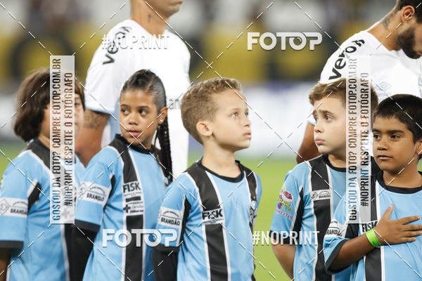 Compra tus fotos del eventoBotafogo x Grmio - Nilton Santos- 12/06/2019 En Fotop