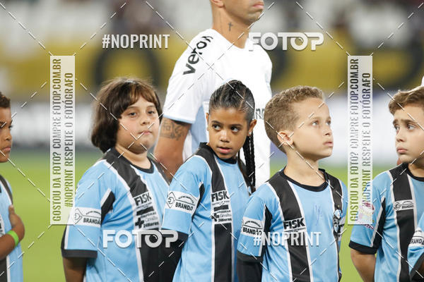 Compra tus fotos del eventoBotafogo x Grmio - Nilton Santos- 12/06/2019 En Fotop