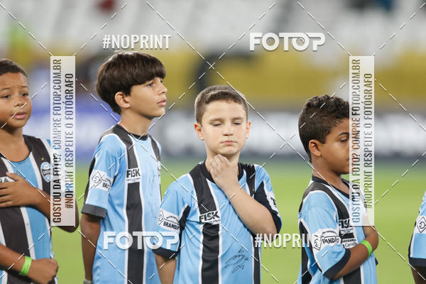 Compra tus fotos del eventoBotafogo x Grmio - Nilton Santos- 12/06/2019 En Fotop