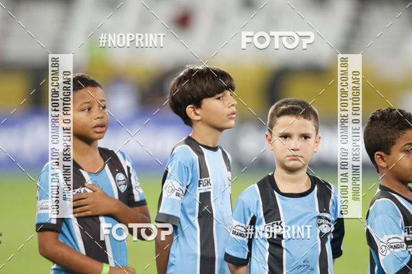Compra tus fotos del eventoBotafogo x Grmio - Nilton Santos- 12/06/2019 En Fotop