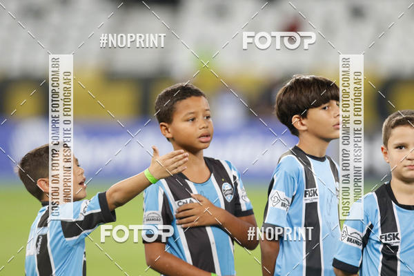 Compra tus fotos del eventoBotafogo x Grmio - Nilton Santos- 12/06/2019 En Fotop
