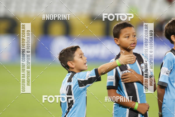 Compra tus fotos del eventoBotafogo x Grmio - Nilton Santos- 12/06/2019 En Fotop