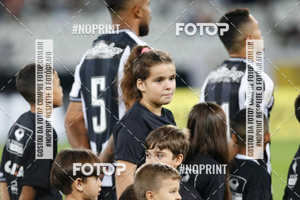 Compra tus fotos del eventoBotafogo x Grmio - Nilton Santos- 12/06/2019 En Fotop