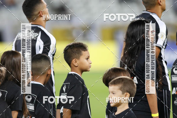 Compra tus fotos del eventoBotafogo x Grmio - Nilton Santos- 12/06/2019 En Fotop