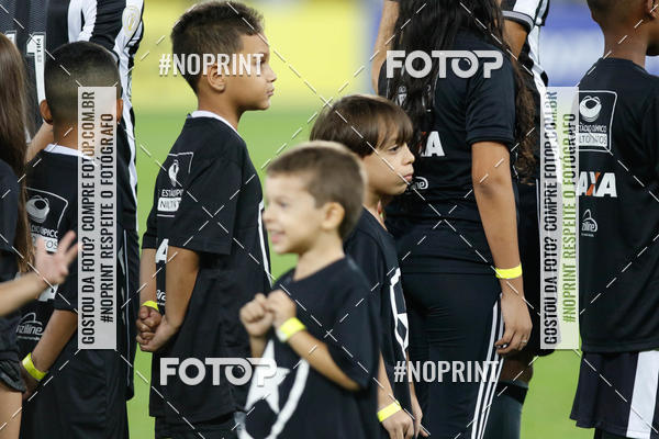 Compra tus fotos del eventoBotafogo x Grmio - Nilton Santos- 12/06/2019 En Fotop