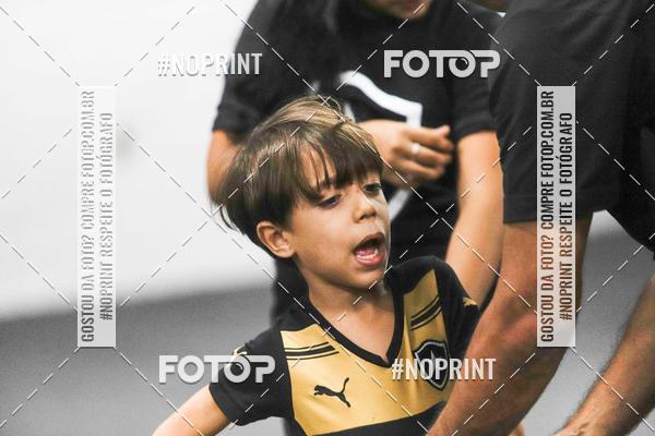 Compra tus fotos del eventoBotafogo x Grmio - Nilton Santos- 12/06/2019 En Fotop