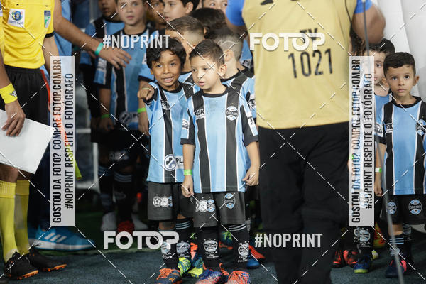 Achetez vos photos de l'vnementBotafogo x Grmio - Nilton Santos- 12/06/2019 sur Fotop