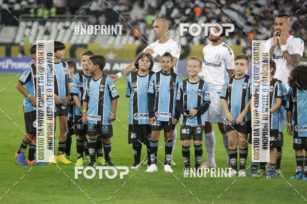 Compra tus fotos del eventoBotafogo x Grmio - Nilton Santos- 12/06/2019 En Fotop