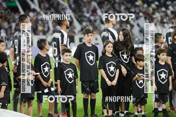 Compra tus fotos del eventoBotafogo x Grmio - Nilton Santos- 12/06/2019 En Fotop