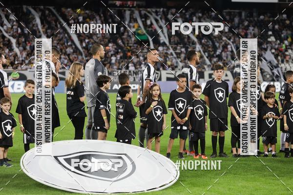 Compra tus fotos del eventoBotafogo x Grmio - Nilton Santos- 12/06/2019 En Fotop