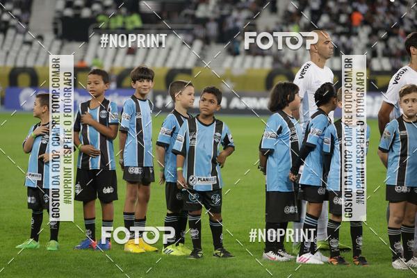 Compra tus fotos del eventoBotafogo x Grmio - Nilton Santos- 12/06/2019 En Fotop