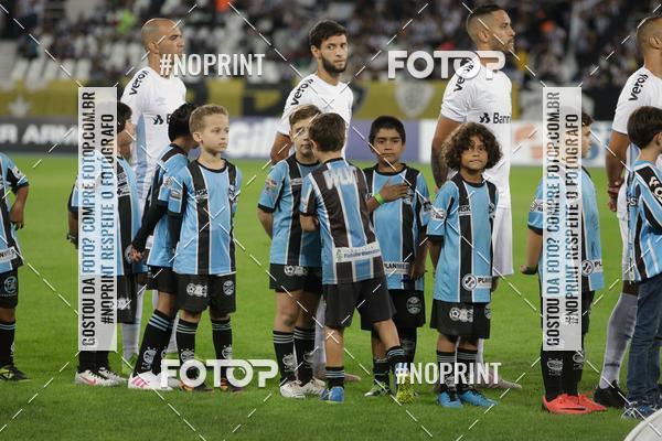 Compra tus fotos del eventoBotafogo x Grmio - Nilton Santos- 12/06/2019 En Fotop