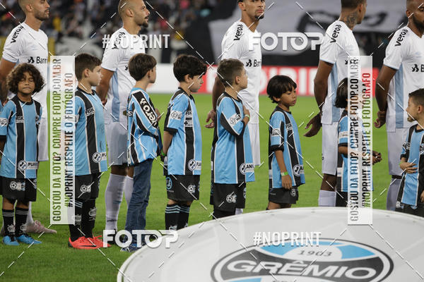 Compre suas fotos do eventoBotafogo x Grmio - Nilton Santos- 12/06/2019 no Fotop