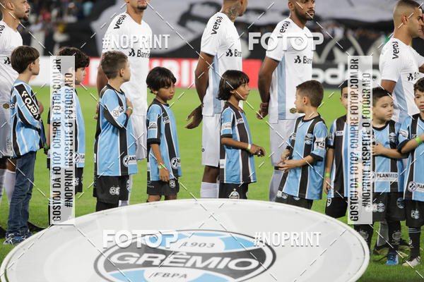 Compre suas fotos do eventoBotafogo x Grmio - Nilton Santos- 12/06/2019 no Fotop