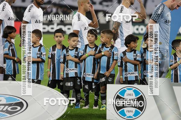 Compre suas fotos do eventoBotafogo x Grmio - Nilton Santos- 12/06/2019 no Fotop