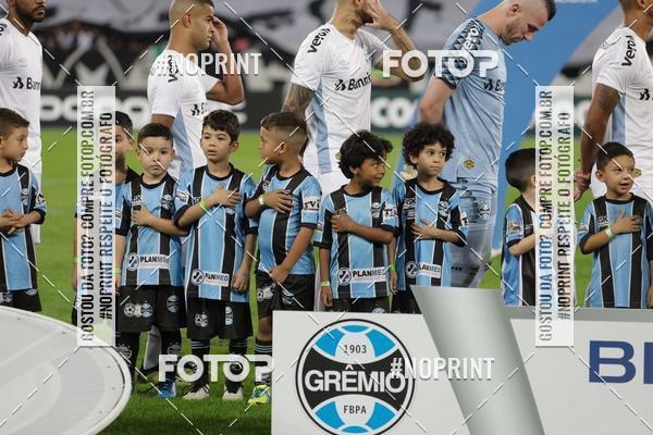 Compre suas fotos do eventoBotafogo x Grmio - Nilton Santos- 12/06/2019 no Fotop