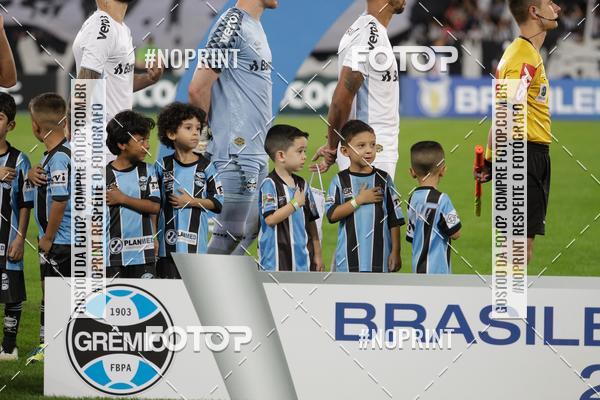 Compre suas fotos do eventoBotafogo x Grmio - Nilton Santos- 12/06/2019 no Fotop