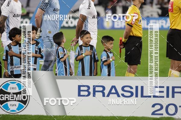 Compre suas fotos do eventoBotafogo x Grmio - Nilton Santos- 12/06/2019 no Fotop