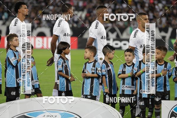 Compre suas fotos do eventoBotafogo x Grmio - Nilton Santos- 12/06/2019 no Fotop