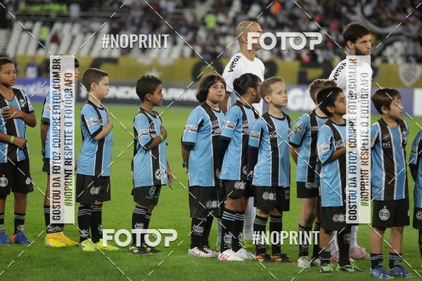 Compre suas fotos do eventoBotafogo x Grmio - Nilton Santos- 12/06/2019 no Fotop