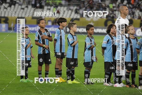Compre suas fotos do eventoBotafogo x Grmio - Nilton Santos- 12/06/2019 no Fotop