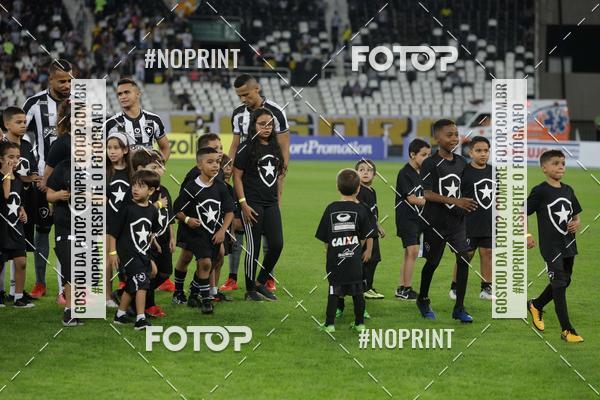 Compre suas fotos do eventoBotafogo x Grmio - Nilton Santos- 12/06/2019 no Fotop