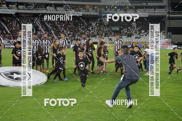 Compre suas fotos do eventoBotafogo x Grmio - Nilton Santos- 12/06/2019 no Fotop