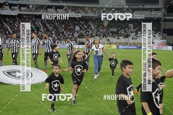Compre suas fotos do eventoBotafogo x Grmio - Nilton Santos- 12/06/2019 no Fotop