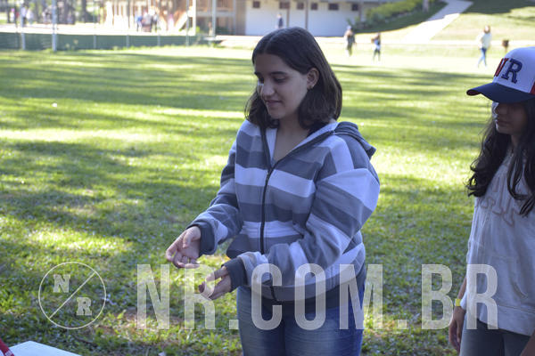 Buy your photos of the eventNR1 - Cl�ssico 13 a 16/06/19 on Fotop