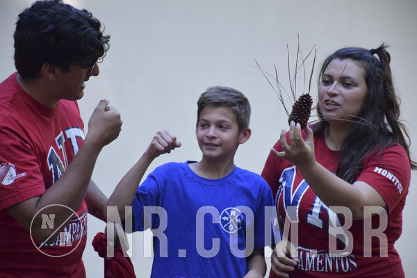 Buy your photos of the eventNR1 - Cl�ssico 13 a 16/06/19 on Fotop