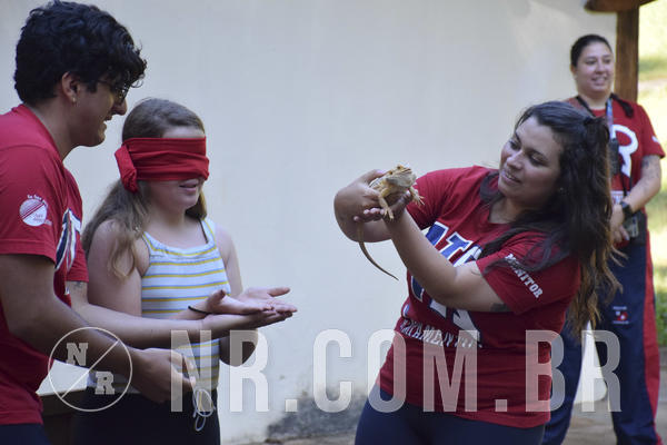 Buy your photos of the eventNR1 - Cl�ssico 13 a 16/06/19 on Fotop