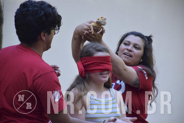 Buy your photos of the eventNR1 - Cl�ssico 13 a 16/06/19 on Fotop