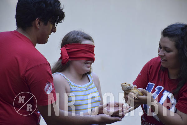 Buy your photos of the eventNR1 - Cl�ssico 13 a 16/06/19 on Fotop