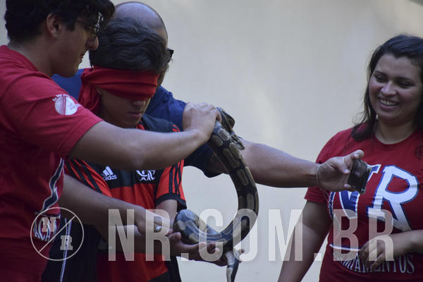 Buy your photos of the eventNR1 - Cl�ssico 13 a 16/06/19 on Fotop