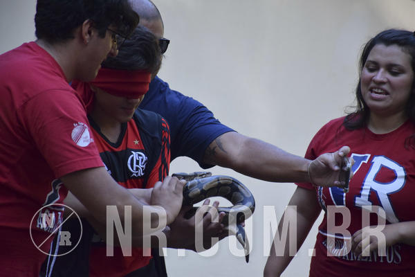 Buy your photos of the eventNR1 - Cl�ssico 13 a 16/06/19 on Fotop