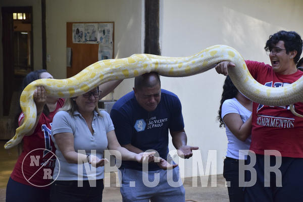 Buy your photos of the eventNR1 - Cl�ssico 13 a 16/06/19 on Fotop