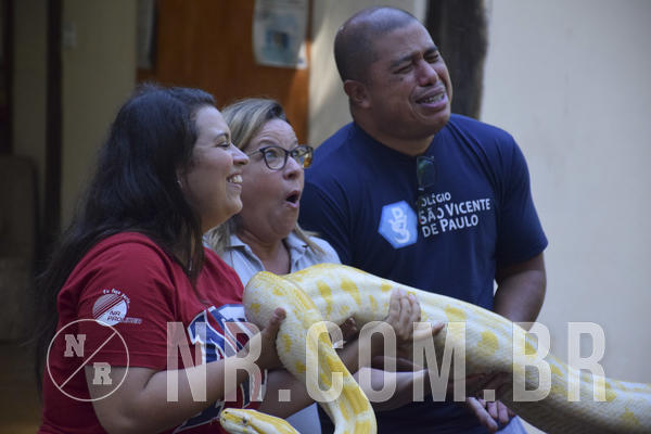 Buy your photos of the eventNR1 - Cl�ssico 13 a 16/06/19 on Fotop