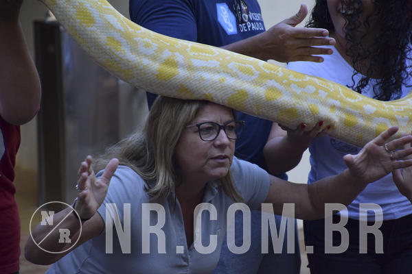 Buy your photos of the eventNR1 - Cl�ssico 13 a 16/06/19 on Fotop