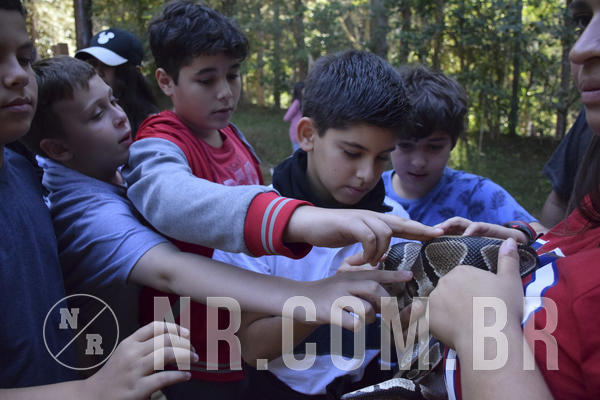 Buy your photos of the eventNR1 - Cl�ssico 13 a 16/06/19 on Fotop