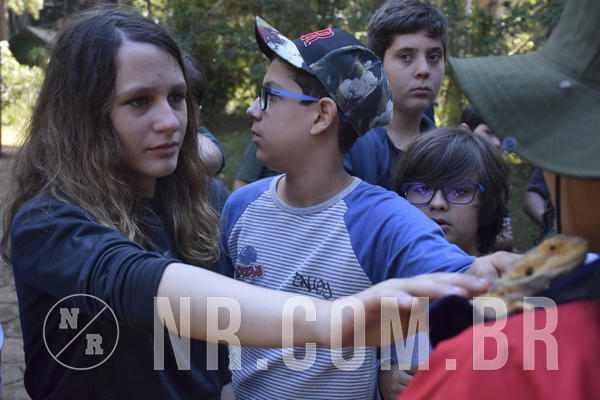 Buy your photos of the eventNR1 - Cl�ssico 13 a 16/06/19 on Fotop