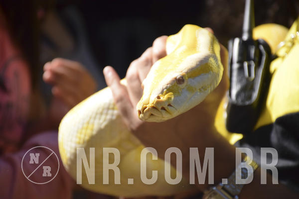 Buy your photos of the eventNR1 - Cl�ssico 13 a 16/06/19 on Fotop