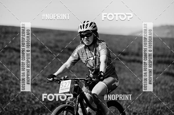 Buy your photos of the eventPAGLIARINI Marathon Bike 13 - PMB13 on Fotop