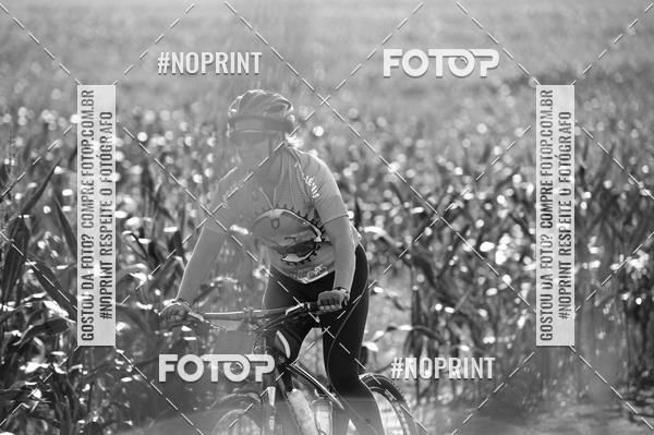Buy your photos of the eventPAGLIARINI Marathon Bike 13 - PMB13 on Fotop