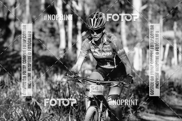 Buy your photos of the eventPAGLIARINI Marathon Bike 13 - PMB13 on Fotop