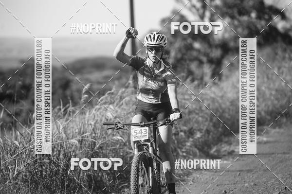 Buy your photos of the eventPAGLIARINI Marathon Bike 13 - PMB13 on Fotop